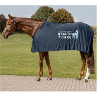 Health + Care Ice Layer Rug